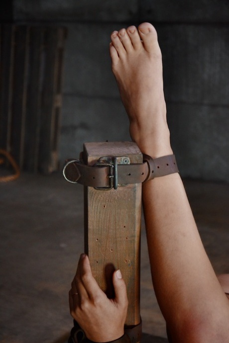 Потрясающую милфу Абеллу Дэнджер связали для БДСМ-глубокой глотки и пыток киской 5