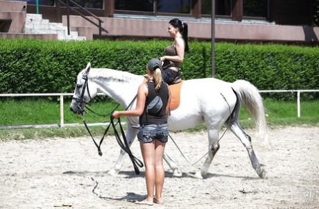 Порнозвезда Алетта Оушен катается на лошади на открытом воздухе в очках 10