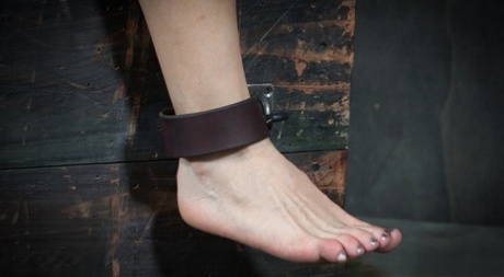 Грудастую рабыню Энджел Оллвуд трахают лицом под бдительным оком Ди Уильямс 10