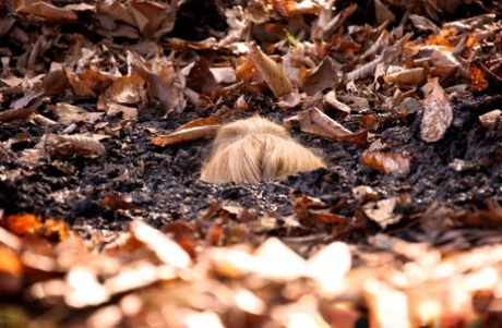 Секс-рабыни Дарлинг и Хейзел Гипнотик оказываются беспомощными в лесу 4