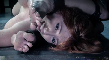 Сдержанные рабыни, вынужденные ублажать друг друга извращенными секс-игрушками 3