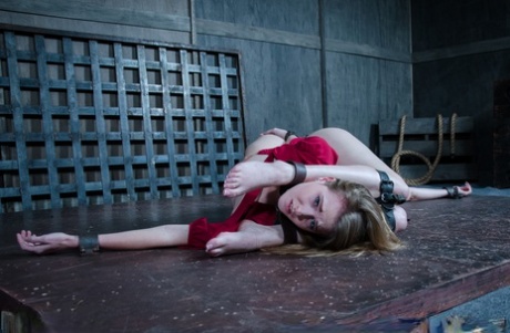 Сдержанные рабыни, вынужденные ублажать друг друга извращенными секс-игрушками 2